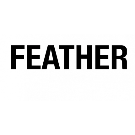 feather_logo_mit_japan_black_7