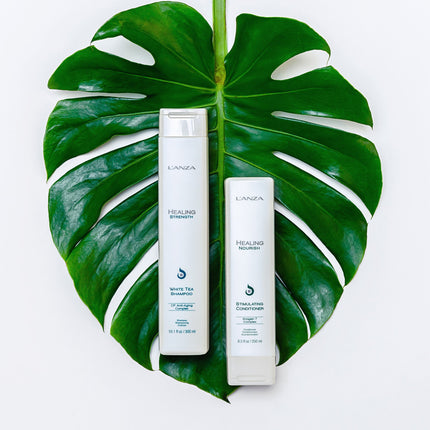 L'ANZA L'ANZA White Tea Shampoo