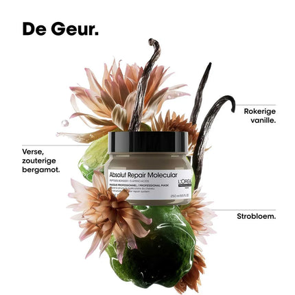 https://cdn.shopify.com/s/files/1/0915/0932/6199/files/loreal-professionnel-loreal-absolut-repair-molecular-masker.464879115.webp?v=1755912246