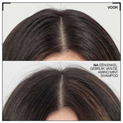 https://cdn.shopify.com/s/files/1/0915/0932/6199/files/redken-redken-amino-mint-shampoo.435035876.png?v=1755912921