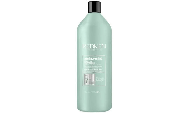 Redken Redken Amino-Mint Shampoo