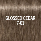 7-01 Glossed Cedar