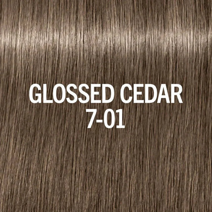 https://cdn.shopify.com/s/files/1/0915/0932/6199/files/schwarzkopf-blondme-glow-toner-7-01-glossed-cedar-7878825.webp?v=1774557391