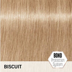 Biscuit