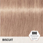 Biscuit