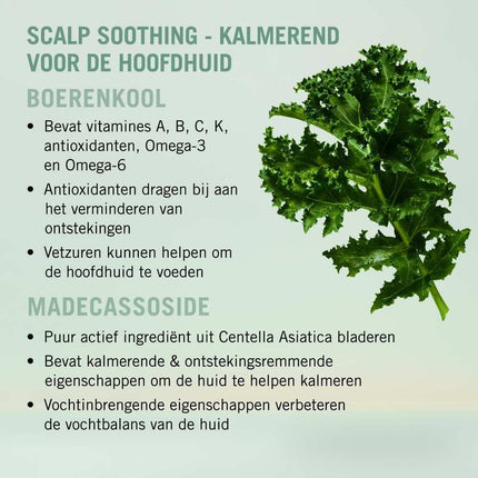 https://cdn.shopify.com/s/files/1/0915/0932/6199/files/schwarzkopf-soothing-shampoo-1000ml-2244046.jpg?v=1782296656