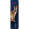 https://cdn.shopify.com/s/files/1/0915/0932/6199/files/wella-wella-koleston-perfect-me-pure-naturals.478668113.jpg?v=1755911977